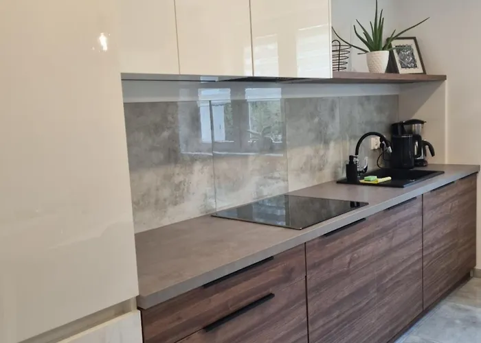 39 Z Pieknym Ogrodem Apartment Ustron